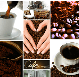 Secretaría del Subcomité ISO de Café