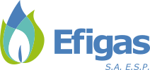 Datos y reseña empresarial de Efigas