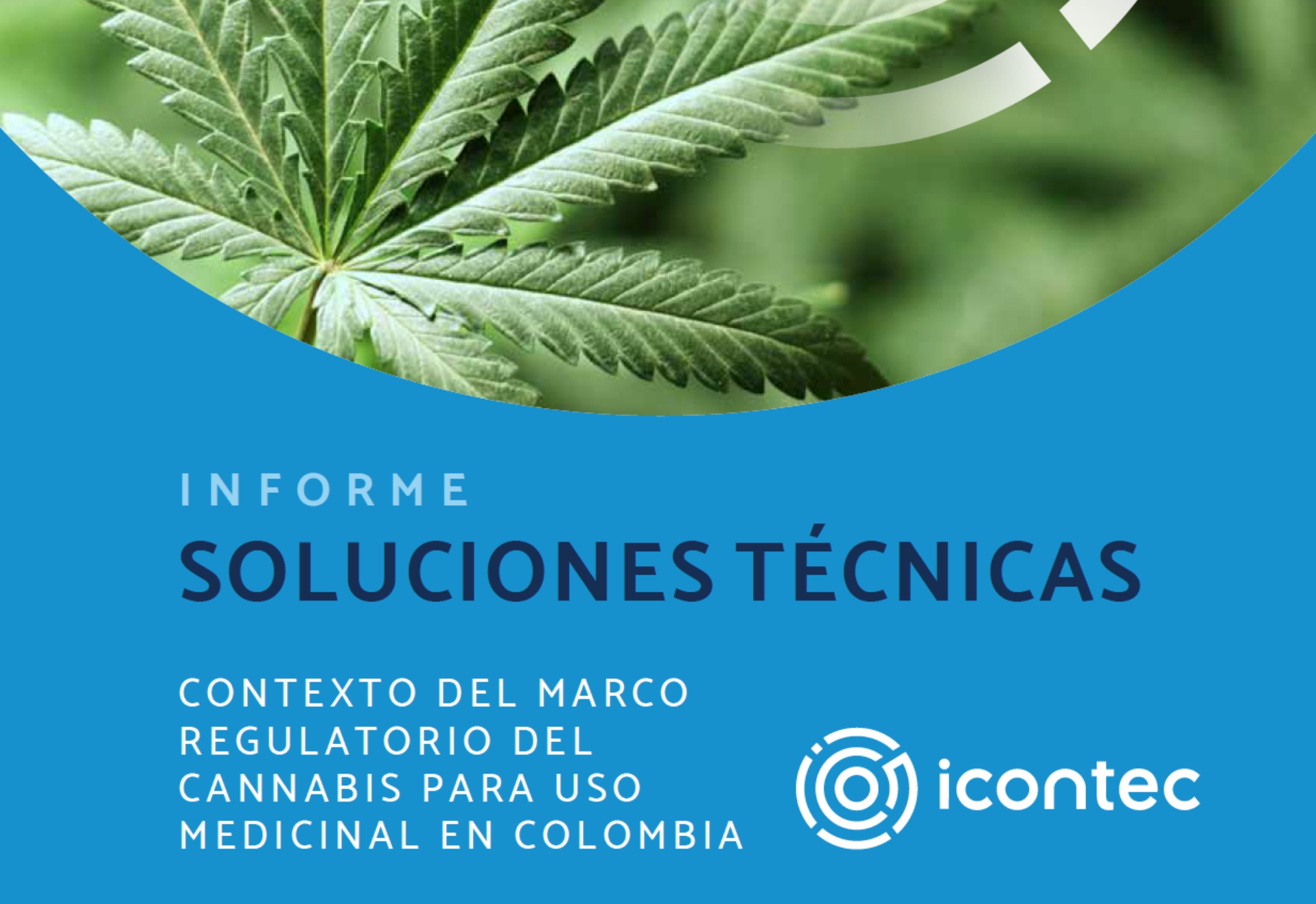 Contexto del marco regulatorio del Cannabis para uso medicinal