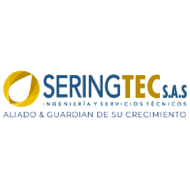 Datos Ingeniería y servicios técnicos Seringtec