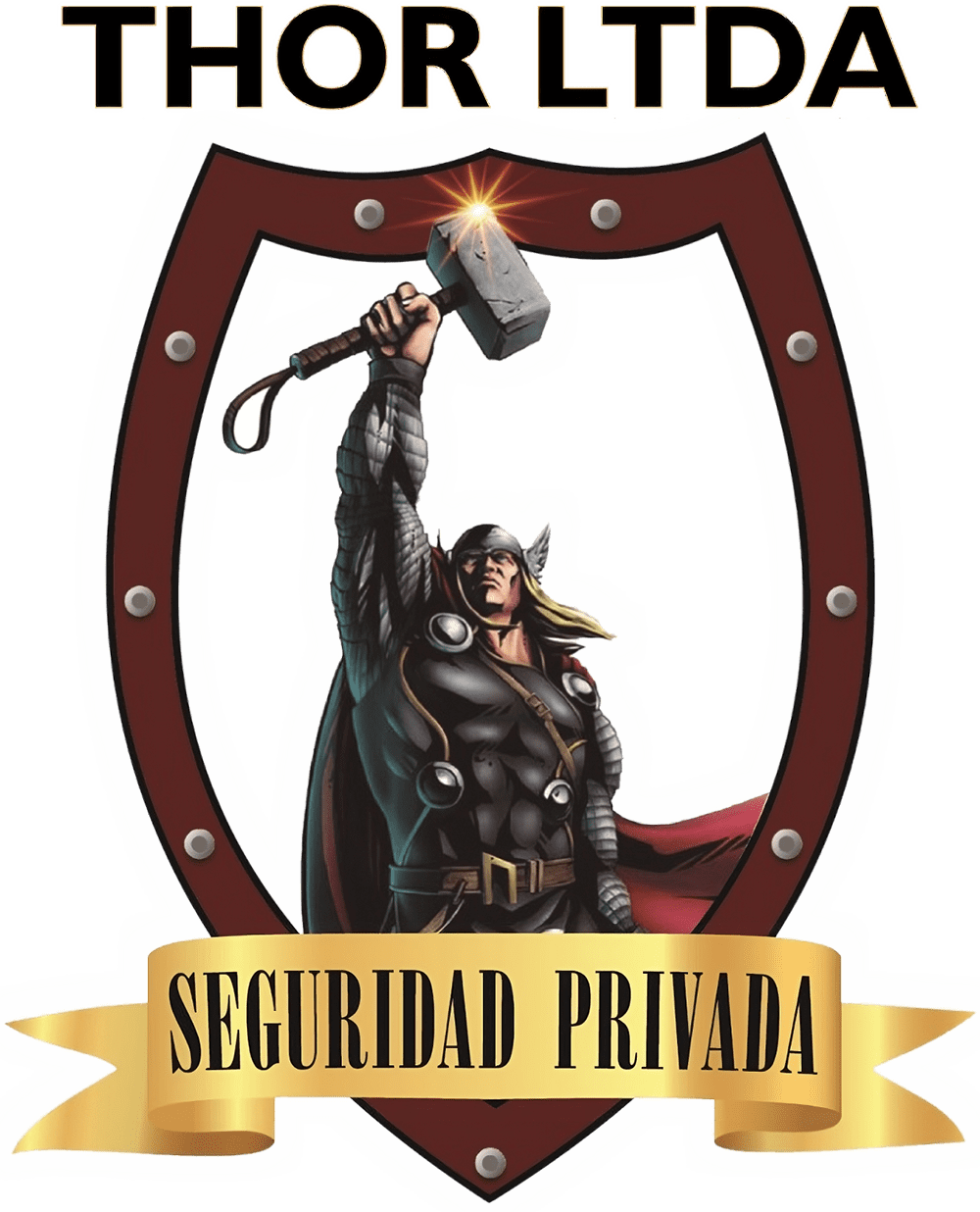 Seguridad Thor LTDA.