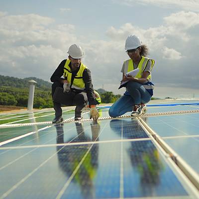<p>Cooperación y proyectos especiales</p>
