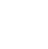 IQ Net