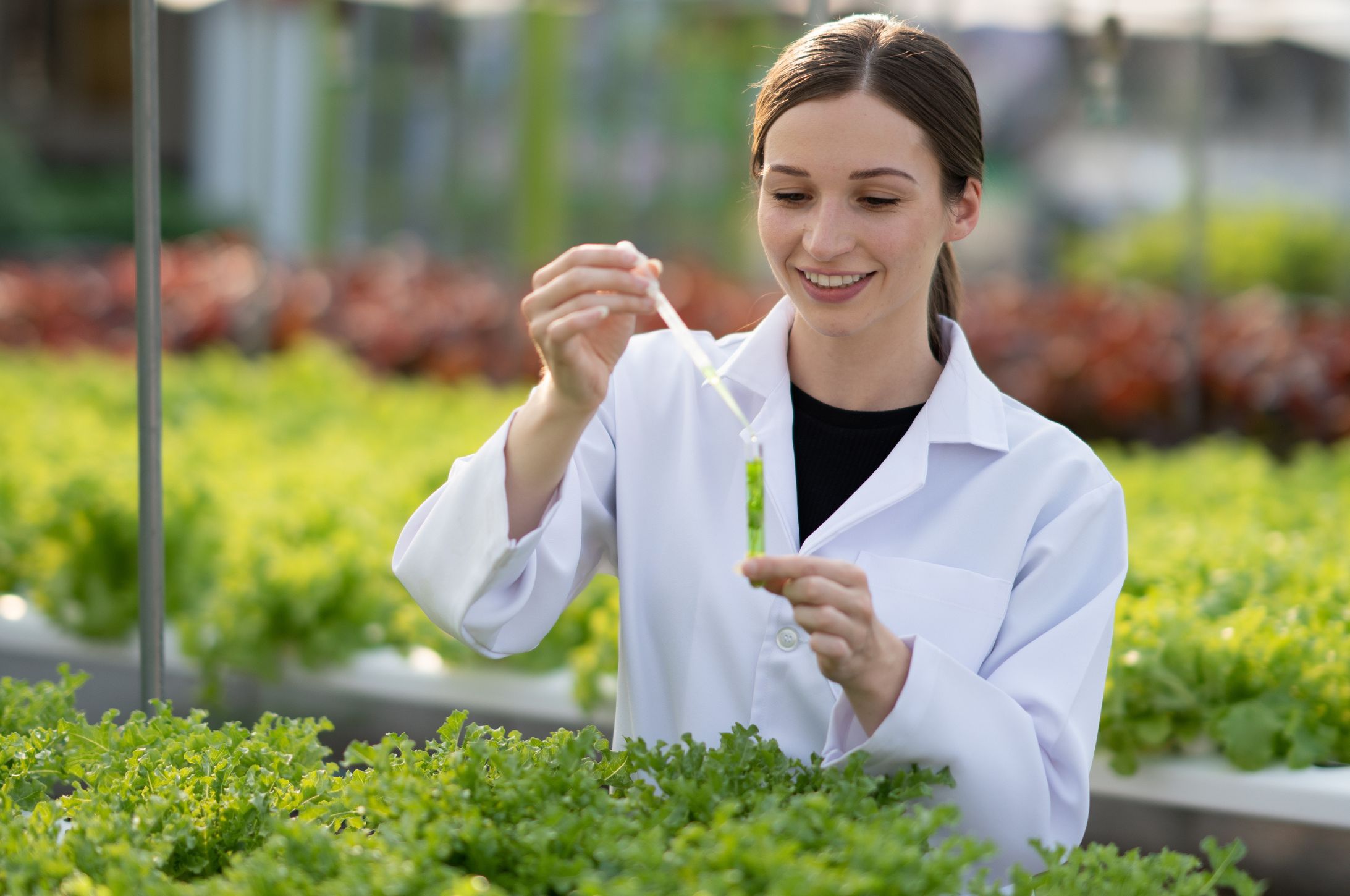 <p>PROGRAMA DE FORMACIÓN DE AUDITORES INTERNOS EN FSSC 22000 V6 PARA LA INDUSTRIA DE ALIMENTOS</p>
