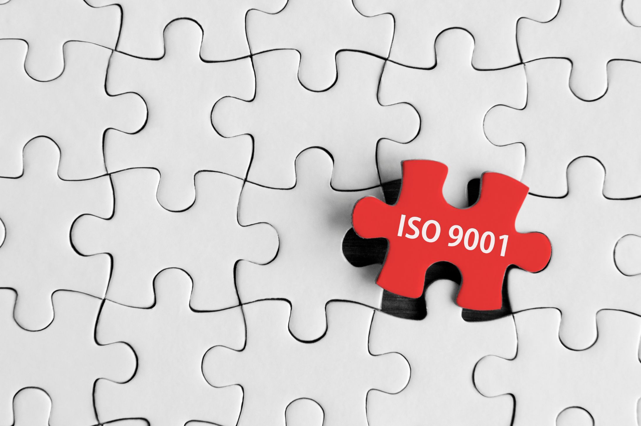 <p>PROGRAMA DE FORMACIÓN DE AUDITORES INTERNOS PARA LA NTC ISO 9001:2015</p>
